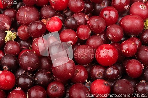 Image of background of frozen cranberries