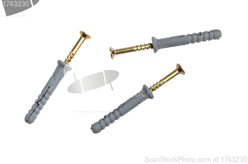 Image of screws and plugs
