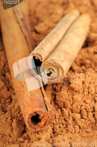 Image of cocoa and cinnamon