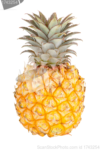 Image of fresh pineapple