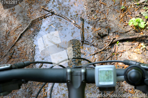 Image of handlebar and speedometer