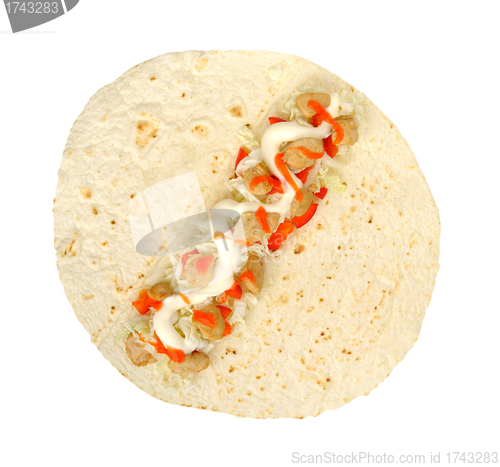 Image of chicken burito