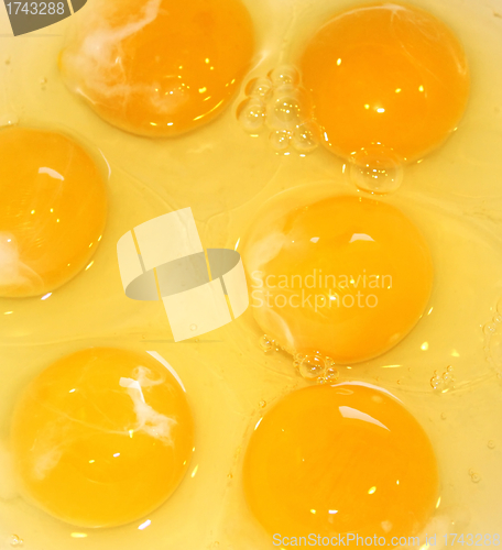Image of Eggs Yolk