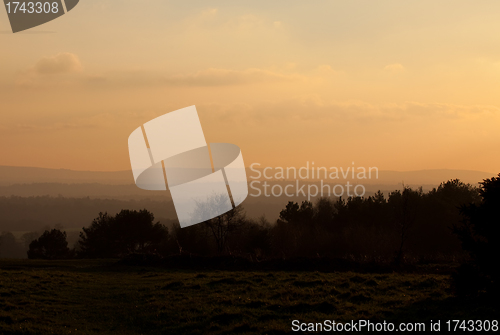 Image of Ashdown Forest Evening