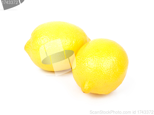 Image of Lemon fruit isolated on white background