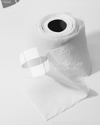 Image of Rerolled Toilet Paper