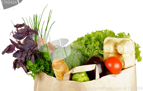 Image of Healthy Eating in Shopping Bag