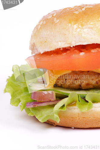 Image of Tasty Hamburger clipping path