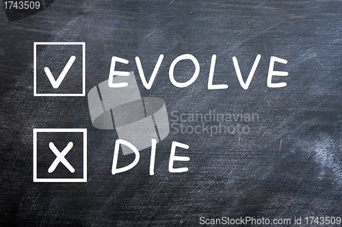 Image of Evolve or die check boxes on a smudged blackboard