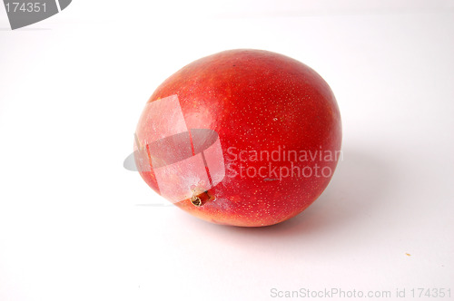 Image of Juicy Mango