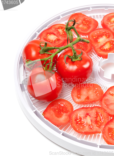 Image of Fresh tomato on food dehydrator tray