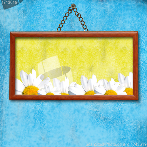 Image of Picture frame hanging photo of daisies in an old blue wall