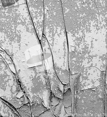 Image of cracked paint on the wall