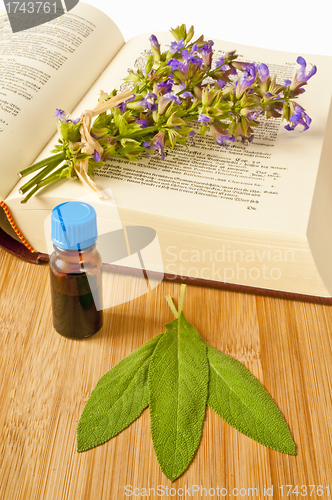 Image of sage with herbal tincture and medieval book