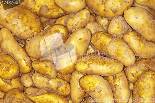 Image of potatoes new harvest