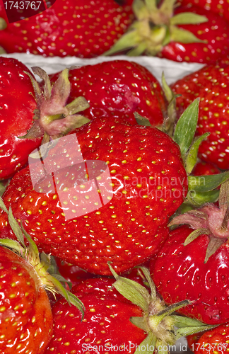 Image of strawberry