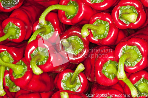 Image of pepper
