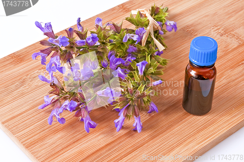 Image of bunch of sage with herbal tincture