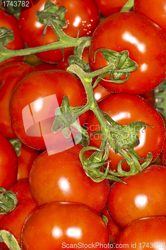 Image of tomato 