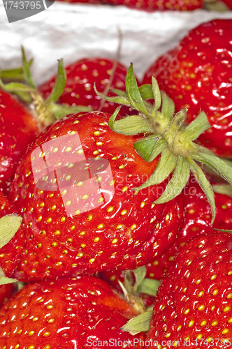 Image of strawberry