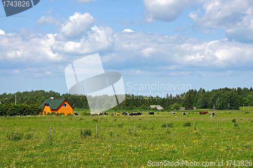 Image of Countryside