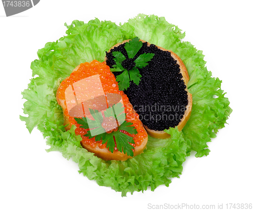 Image of Sandwiches with red and black caviar on lettuce leaves