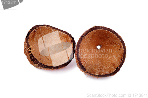 Image of The shell of a coconut isolated on white background