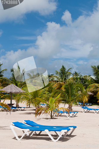 Image of Beach in Antigua