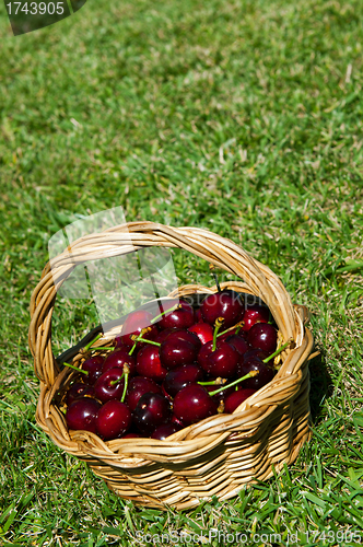 Image of Cherries in a basket