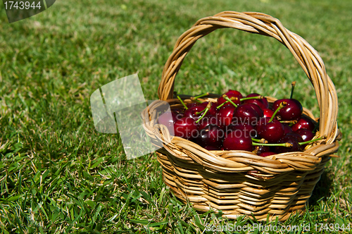 Image of Cherries in a basket