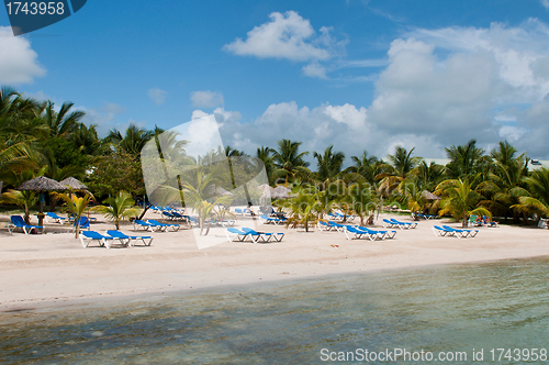 Image of Beach in Antigua