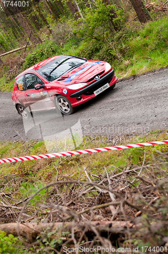 Image of D. Cronin driving Peugeot 206