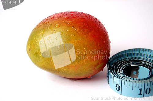 Image of Mango Size