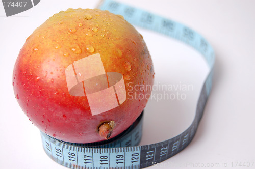 Image of Mighty Mango