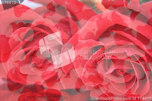Image of Roses and Hearts