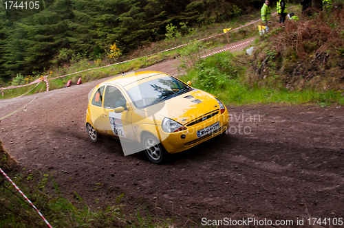 Image of  Ford Ka rally