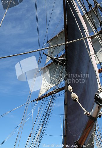 Image of Tall Ship Sails