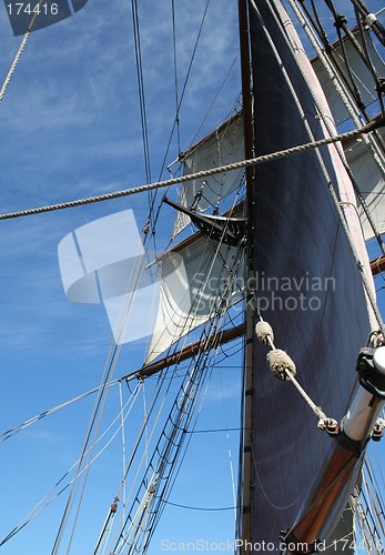 Image of Tall Ship Sails