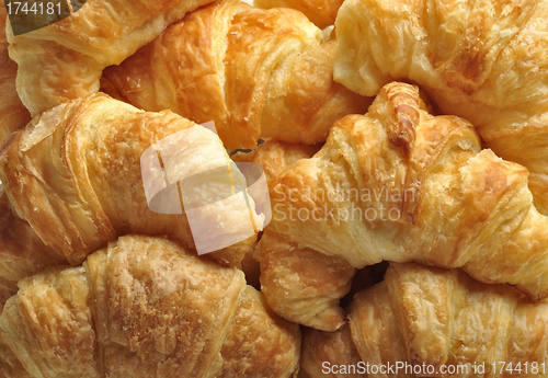 Image of Fresh  Croissants