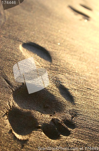 Image of Beach Footprints