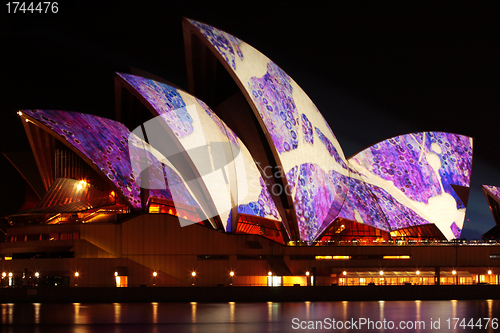 Image of EDITORIAL Sydney Opera House illuminated during Vivid Festival