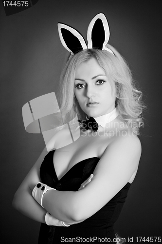 Image of Monochrome portrait of a girl - rabbit