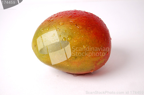 Image of Wet Juicy Mango