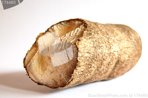 Image of African Yam