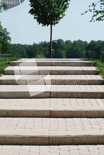 Image of stairs to a wood  