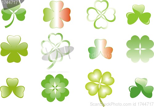 Image of clover or shamrock  for St Patrick’s day