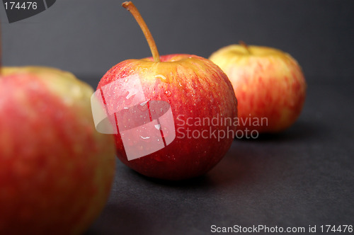 Image of Wet Apples