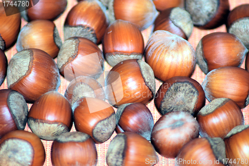 Image of walnuts background and texture