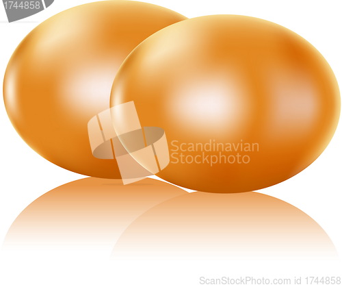Image of Two painted eggs isolated on white, vector easter symbol 