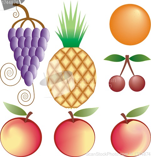 Image of fruits vector set